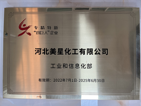 專精特新&ldquo;小巨人&rdquo;企業(yè)